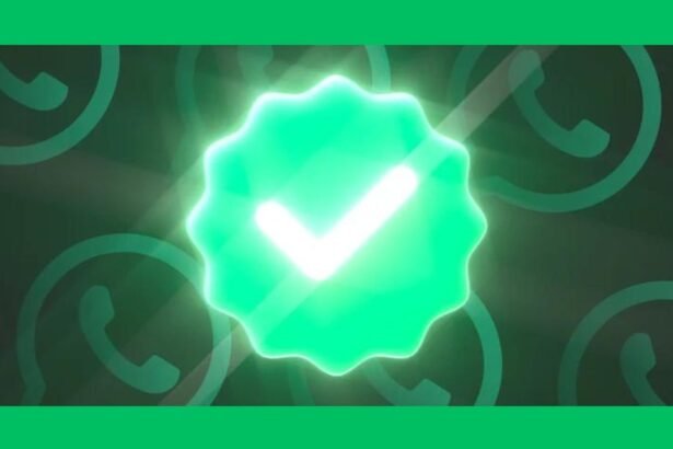 How to convince a client for getting WhatsApp Green Tick