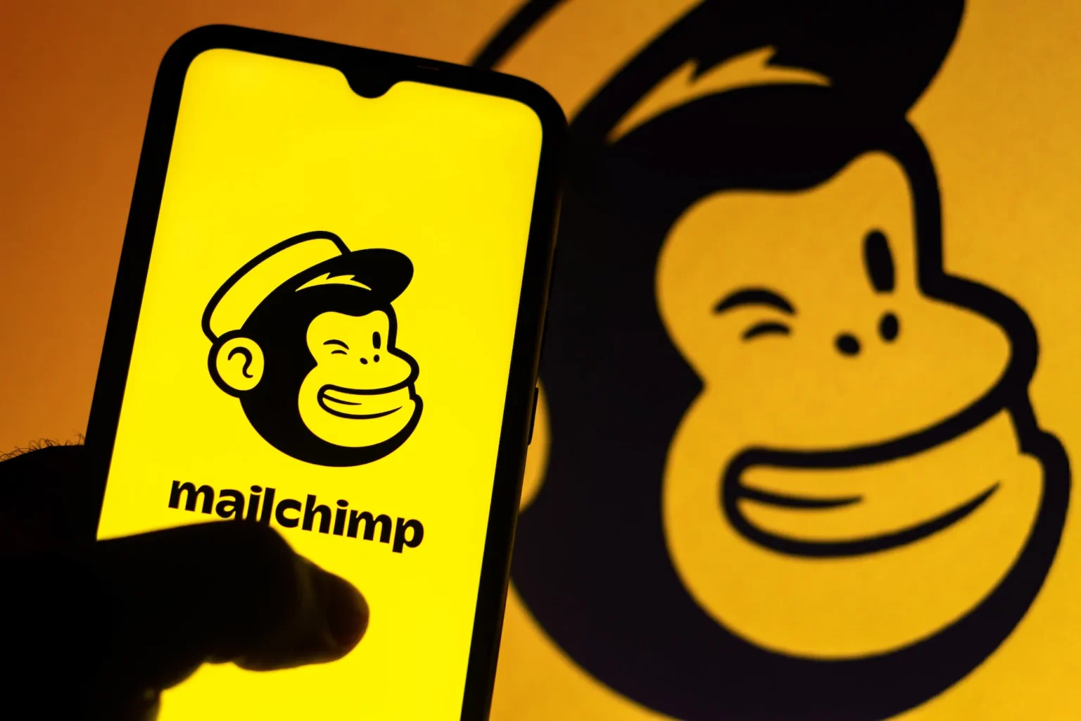 MailChimp Review 2024